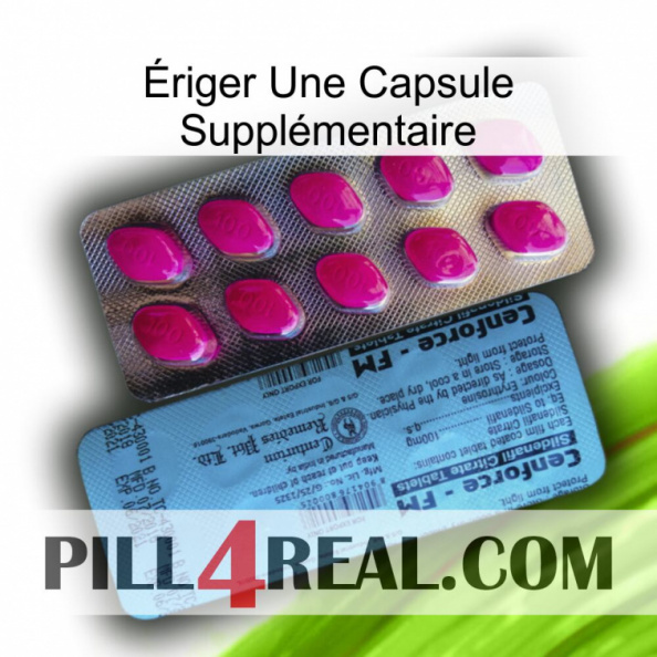 Ériger Une Capsule Supplémentaire 35.jpg